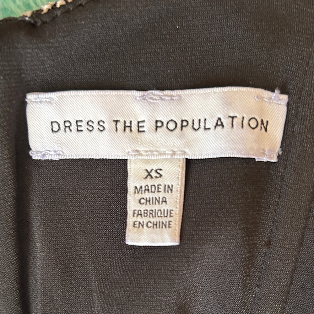 Dress the Population Black Floral Embroidered Mini Dress size XS - Picture 11 of 11